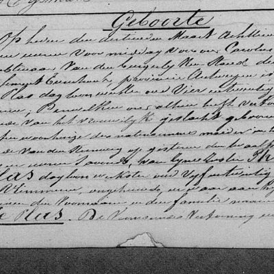 PaulinaPotters(vanderPlas)12031871Vlimmeren