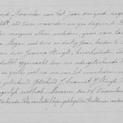 RenatusSwannet06111911Borgerhout